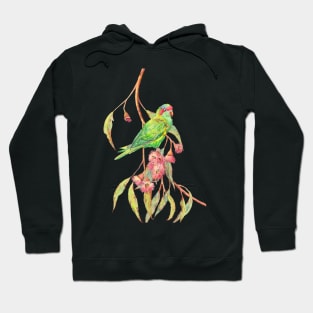 Musk lorikeet parrot and eucalyptus branch with pink flowers Hoodie